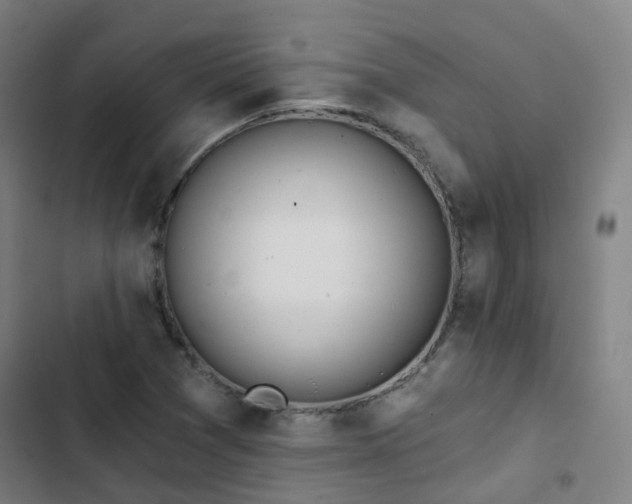 X0000103281361200809051521