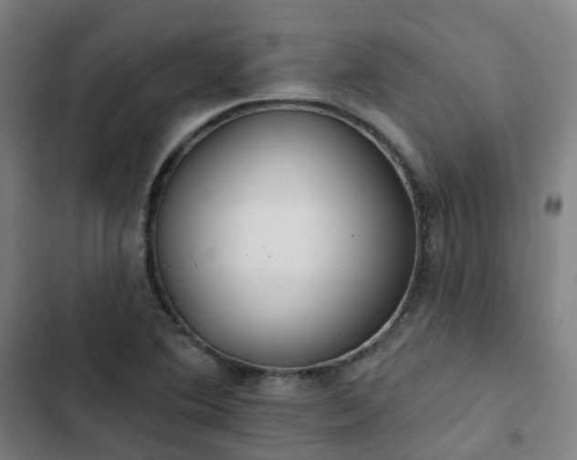 X0000103281364200809051521