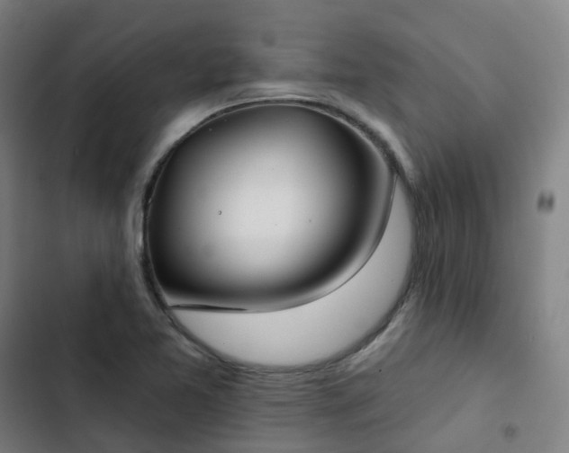 X0000103281365200809051521