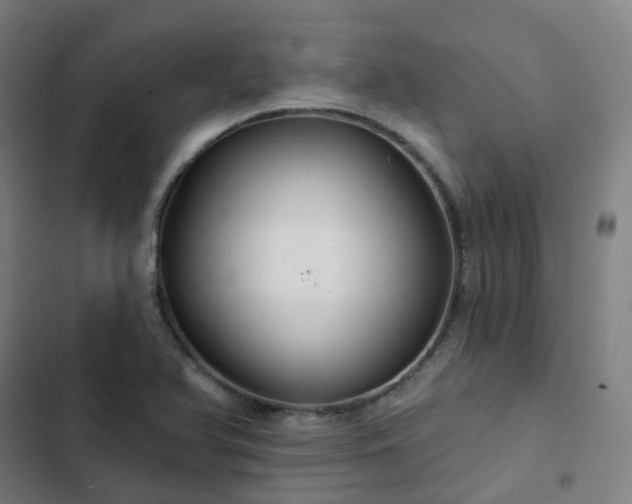 X0000103281366200809051521