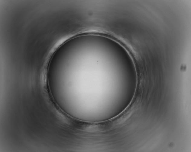 X0000103281367200809051521