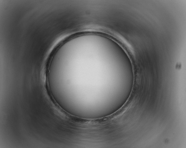 X0000103281368200809051521