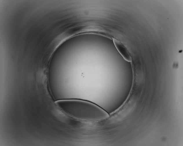 X0000103281369200809051521