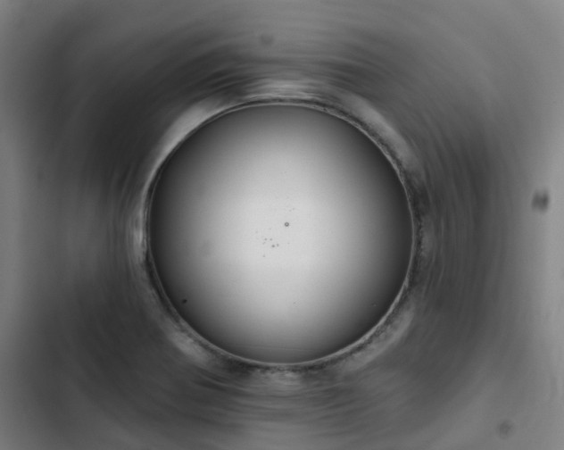 X0000103281370200809051521