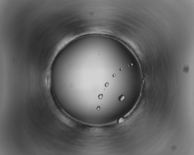 X0000103281371200809051521