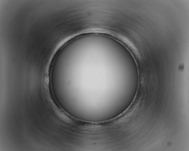 X0000103281372200809051521