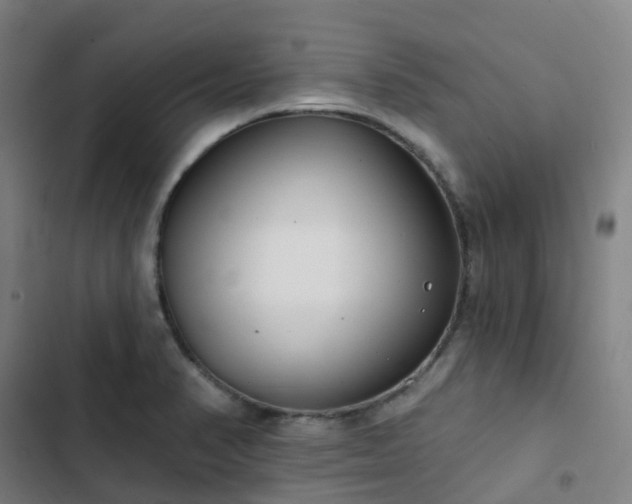 X0000103281374200809051521