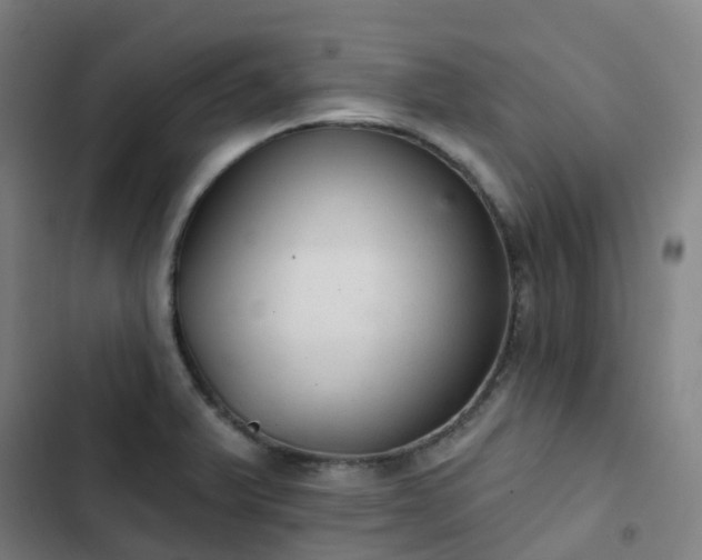 X0000103281375200809051521