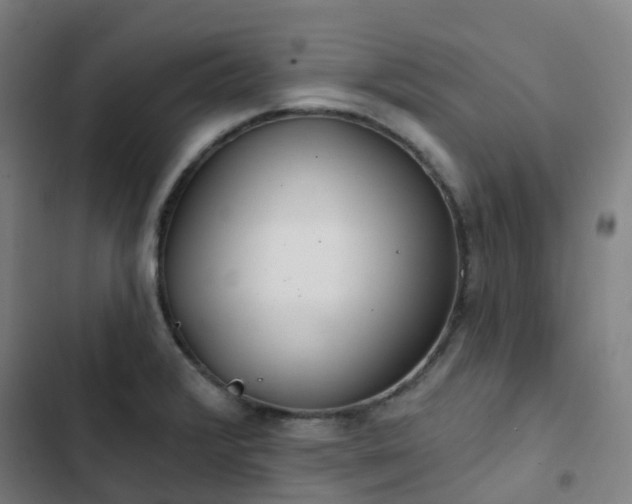 X0000103281376200809051521