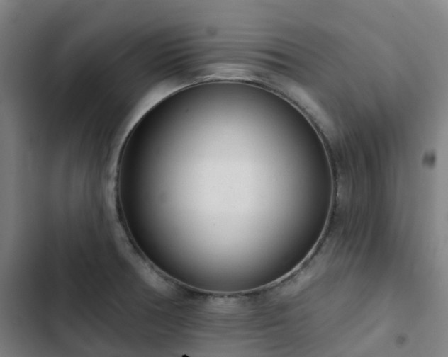 X0000103281378200809051521