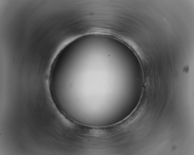 X0000103281379200809051521