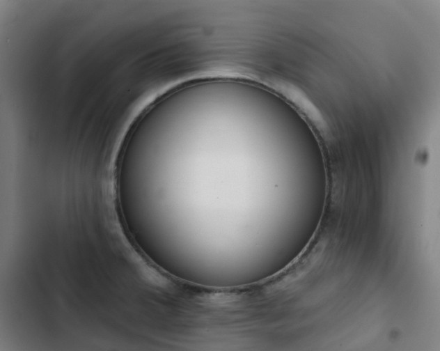 X0000103281380200809051521