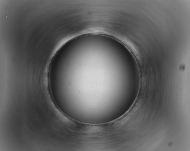 X0000103281382200809051520