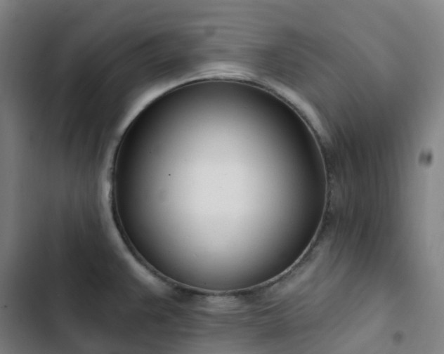 X0000103281383200809051520