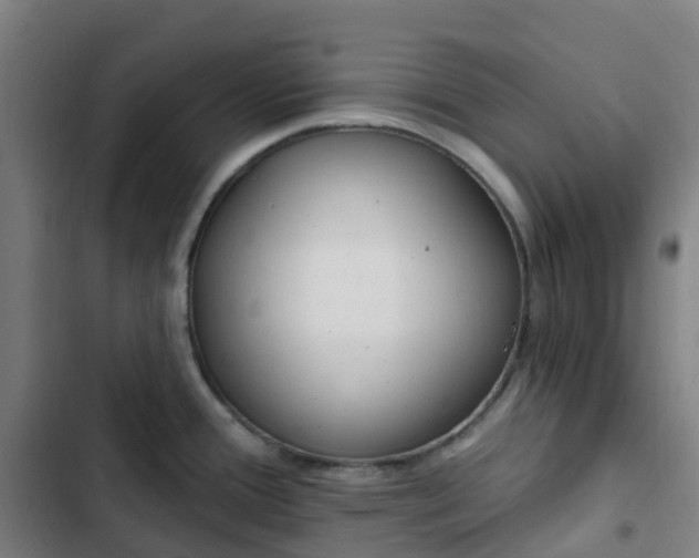 X0000103281388200809051520