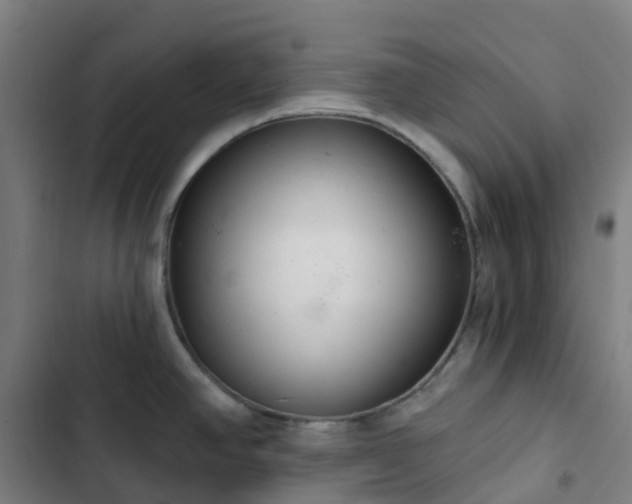 X0000103281390200809051520