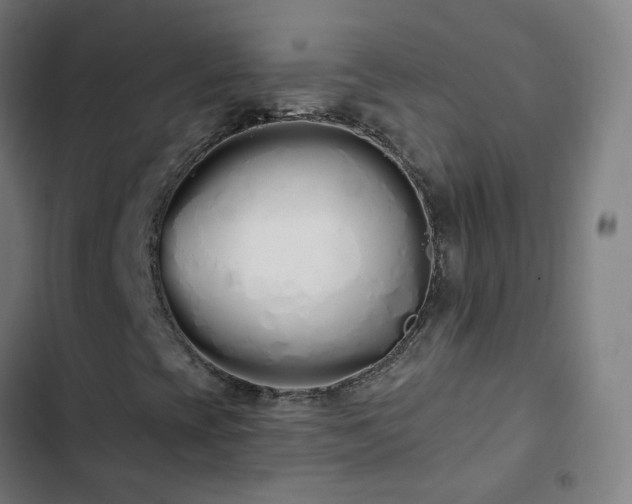 X0000103281393200809051520