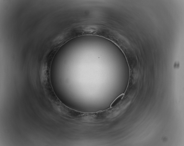 X0000103281394200809051520