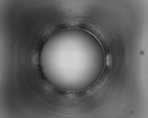 X0000103281395200809051520