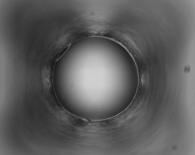 X0000103281396200809051520