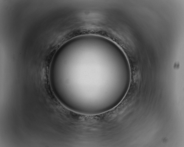 X0000103281397200809051520