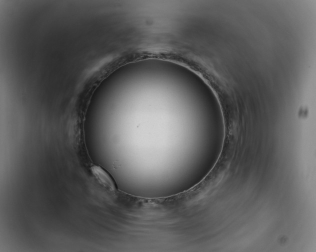 X0000103281398200809051520