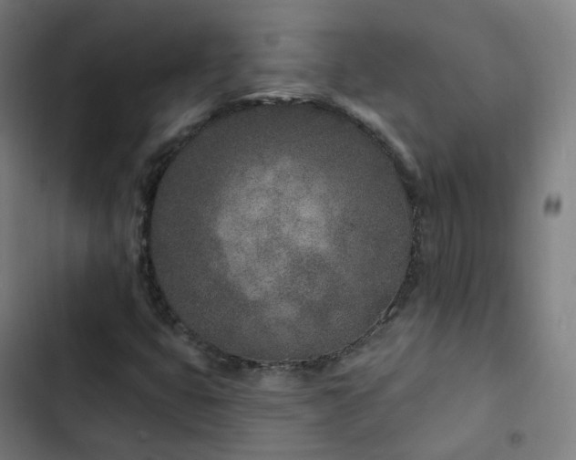 X0000103281399200809051520