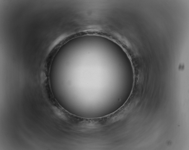 X0000103281400200809051520