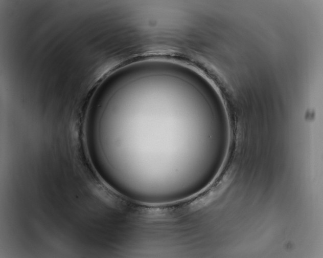 X0000103281401200809051520