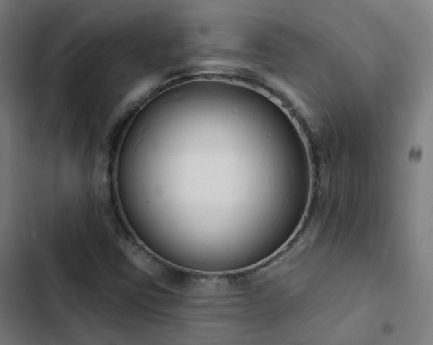 X0000103281403200809051520