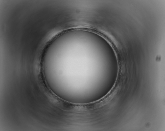 X0000103281407200809051520