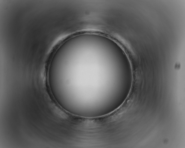 X0000103281408200809051520