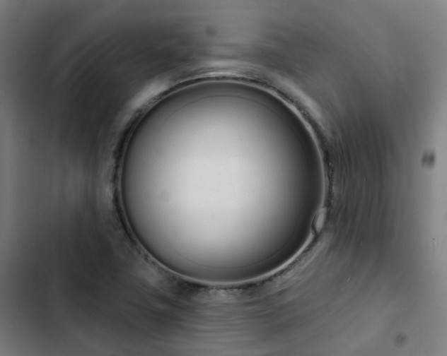 X0000103281411200809051520