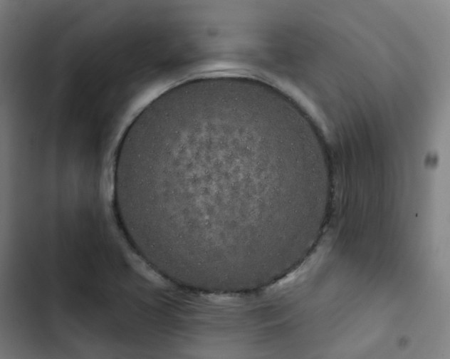 X0000103281413200809051520