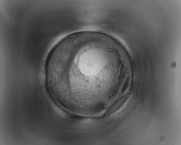 X0000103281414200809051520