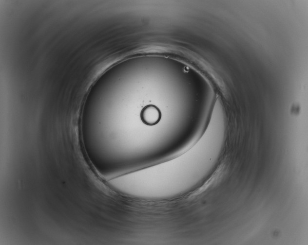 X0000103281417200809051520