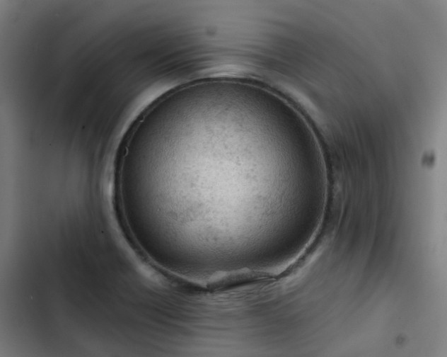 X0000103281418200809051520