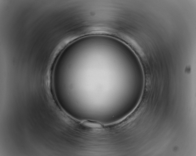 X0000103281419200809051520