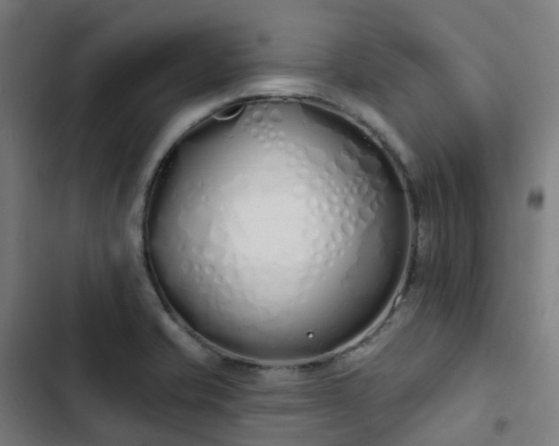 X0000103281421200809051520