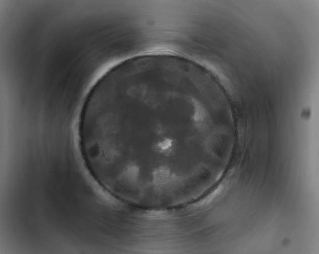 X0000103281422200809051520