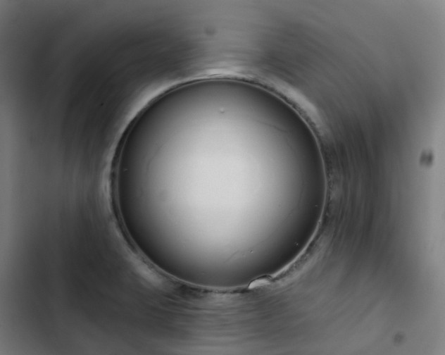 X0000103281423200809051520