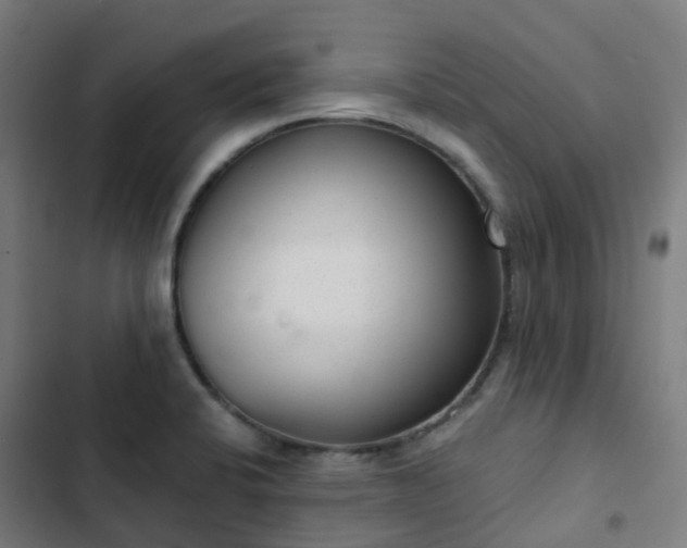 X0000103281424200809051520