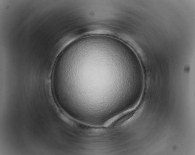 X0000103281425200809051520