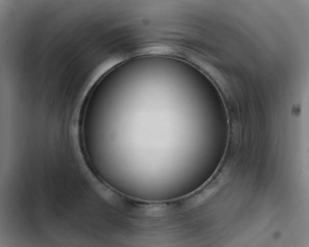 X0000103281426200809051520