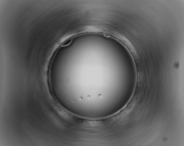 X0000103281427200809051520