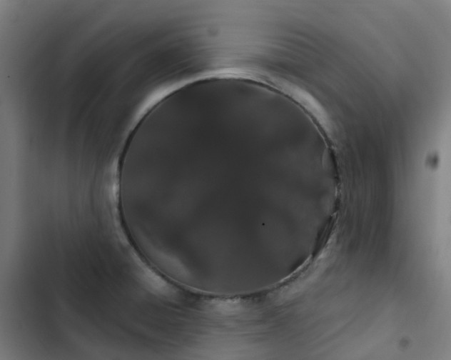 X0000103281428200809051520