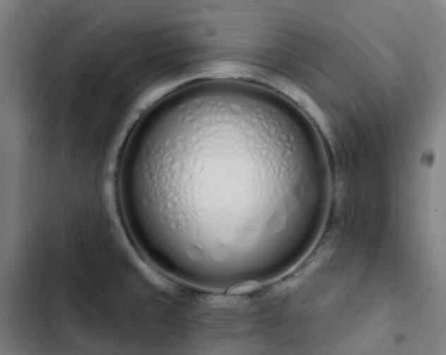 X0000103281429200809051520