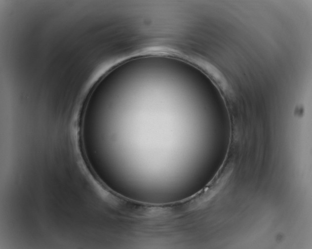 X0000103281430200809051520