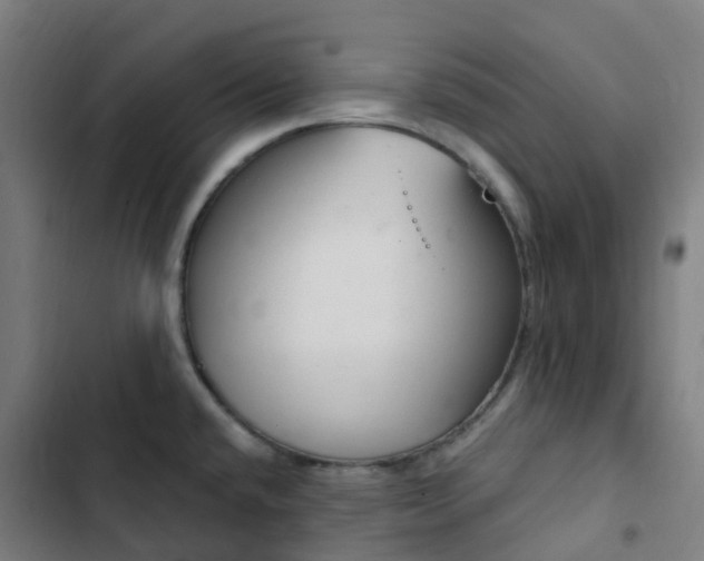 X0000103281432200809051520