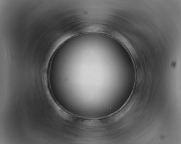 X0000103281434200809051520